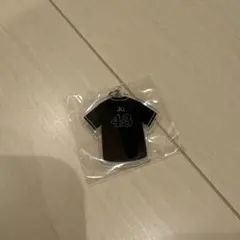 &TEAM めじるしチャーム Jo