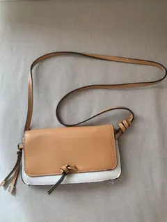 ZARA ミニクロスボディバッグ