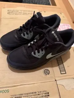Nike Air Max 90 GORE-TEX 29.0cm