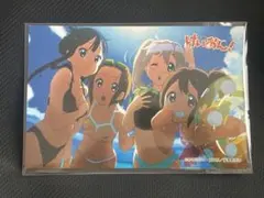 名探偵コナン ラミネートカード 毛利蘭 コナン 探偵団 水着 No.011