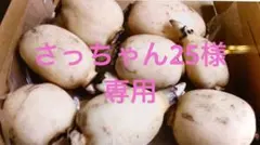 さっちゃん25様専用