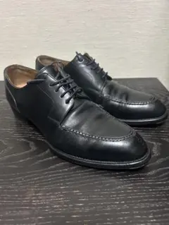 2026年最新】シェットランドフォックス uチップの人気アイテム - メルカリ