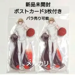 【新品未開封】葉月珪 アクスタ ときめきメモリアル Girls Side