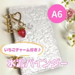 Item thumbnail for item 95cfd044-e56e-4784-a49f-62f39b04a674