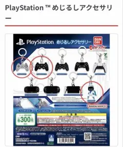 PlayStation ™ めじるしアクセサリー