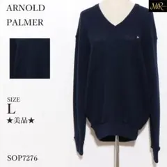★美品★ ARNOLD PALMER トップス　ニット セーター Vネック 刺繍