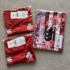 Item thumbnail for item 109f2b4e-eeb8-498b-b5b4-cda54f4853c1