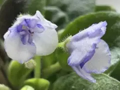 さんぽ☆みち様 リクエスト 2点 まとめ商品