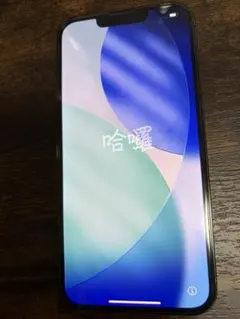 Apple iPhone 13 Pro 本体 256GB