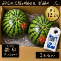 熊本県産 スイカ 羅皇ザ・スウィート 1玉約8～9kg (2玉入) - メルカリ