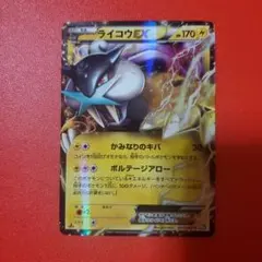 ライコウEXのサムネイル