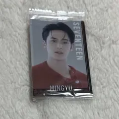 SEVENTEEN ミンギュ
