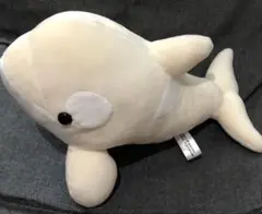 バラ売りOK 名古屋港水族館 シャチくじ 3等 アルビノ 名古屋港水族館 シャチ くじ アルビノ - メルカリ