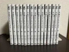 【美品】文豪ストレイドッグス 1-15巻セット