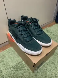 Nike SB ishod wair green 箱付き　紐付き　新品未使用