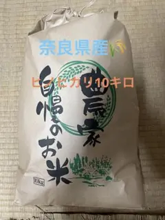 農家直送！！ 令和7年あさひの夢 精米10キロ きゅうりのおまけ付き