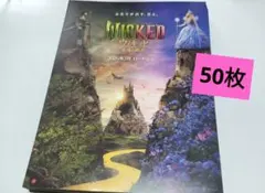 【ネコポスBox発送】ウィキッド　フライヤー（＊1枚ペラタイプ）フライヤー50枚