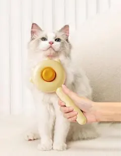 Item thumbnail for item 2b16f251-804f-4249-9c14-7beb262feb4f