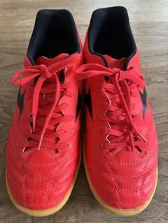 Item thumbnail for item d521ca8a-b59a-4509-bb56-5c191ffb0875