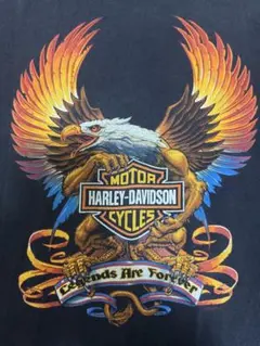 90s Harley-Davidson ハーレーダビッドソン　Tシャツ 2XL