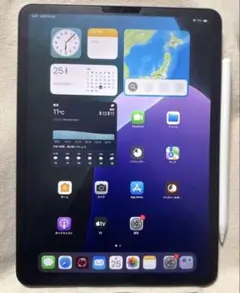 iPad Pro 11インチ 第2世代 256GB Apple Pencil2付 - メルカリ