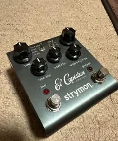 2025年最新】strymon el capistanの人気アイテム - メルカリ