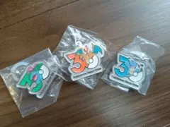 ポケモン 30周年記念 メタルキーホルダー 3種セット