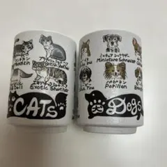 Item thumbnail for item 35429dc0-45a0-4d87-a70f-1fd70e0b08cd