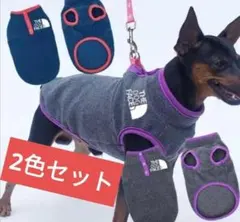 Item thumbnail for item 037772c0-d20c-43f3-a4b2-51550e397bcd