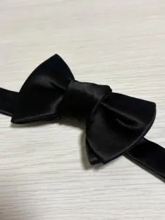 Item thumbnail for item 592d7e63-f33e-40c2-b33d-8782c625531d