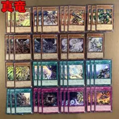 No.9453 遊戯王 真竜 デッキパーツ