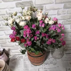 ぶいもん様 リクエスト 2点 まとめ商品