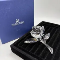廃盤 美品 SWAROVSKI オーキッド ブロッサム 胡蝶蘭 クリスタル - メルカリ