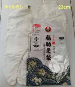 Item thumbnail for item fafcb741-145a-434e-afe0-fa4209d1902f