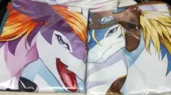 Item thumbnail for item 2dd8c902-4480-4c60-9f6f-fd09f6792eeb