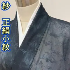 KN6731 紗 小紋 身丈158cm 夏着物 正絹のサムネイル