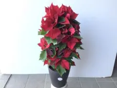 yuu-様 リクエスト 2点 まとめ商品