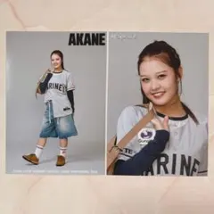 千葉ロッテマリーンズ　M☆Splash!!　AKANE　ブロマイド