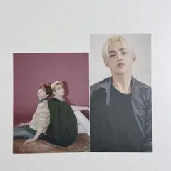 seventeen セブチ ミニカード セミコロン シーグリ エスクプス ディノ