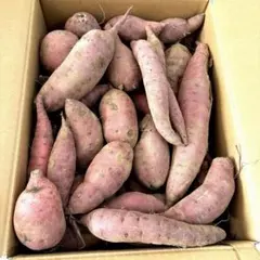 さつまいも　紅はるか　7.8キロ　サービス品