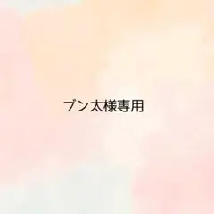 ＊ブン太様専用ページ＊