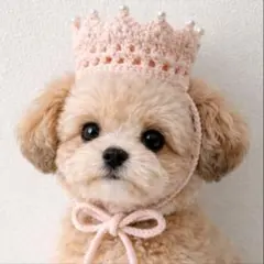 ベビークラウン　ペットクラウン　ニットクラウン　カンムリ王冠　ピンク