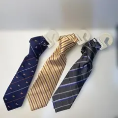 Item thumbnail for item b7ba3ee6-e69d-43af-8c26-1ae580f3636e