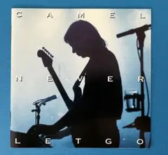 Item thumbnail for item 92ef8d7a-bdd4-4b0e-bf8f-88627663eed8