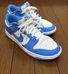NIKE ダンク　LOW 水色
