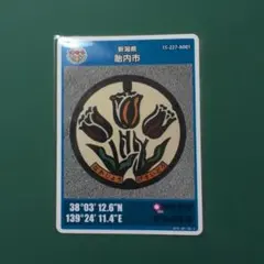 すいすぽ様 リクエスト 2点 まとめ商品