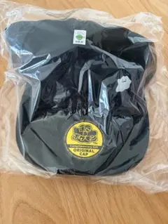 ぽこあポケモン★購入特典★メタモン★キャップ