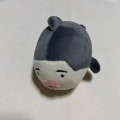 カプころん 囚われのパルマ チアキ ぬいぐるみ - メルカリ