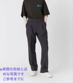 THE SHINZONE クライスラーパンツ　36