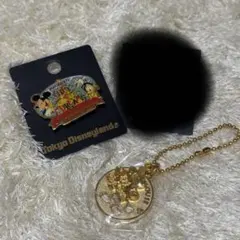 東京ディズニーランド ピンバッジ・キーホルダーセット